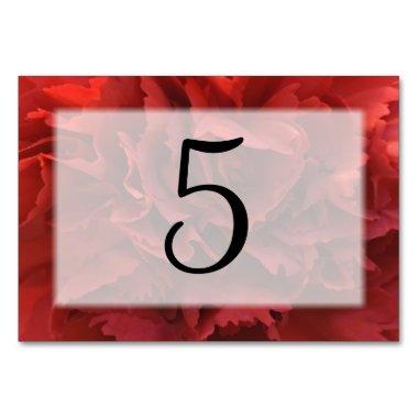 Red Carnation Floral Table Number