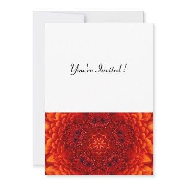 RED DAHLIA, bright black white