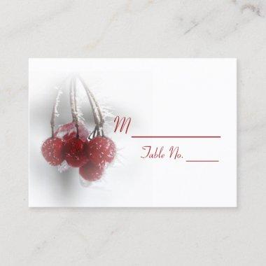Red Frosty Berries Winter Wedding Place Invitations