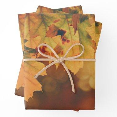 Rustic Autumn Leaves Wrapping Paper Sheets