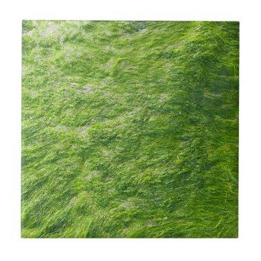Sea Moss Green Nature Grass Beach Nautical Ceramic Tile