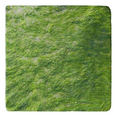 Sea Moss Green Nature Grass Beach Nautical Trivet