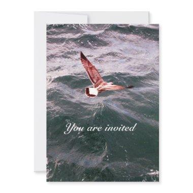 SEAGULL FLYING OVER THE WAVES BEACH WEDDING