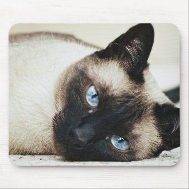 Siamese Cat Mouse Pad