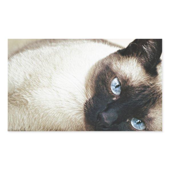 Siamese Cat Pet Purr Meow Kitty Destiny Art Rectangular Sticker