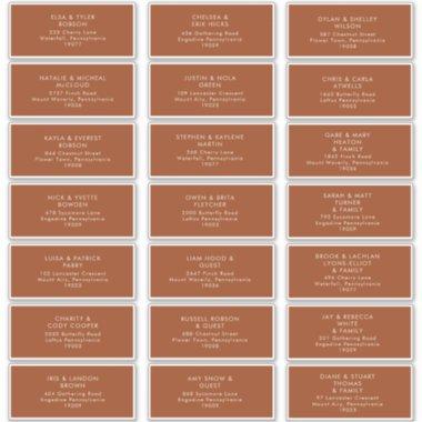 Simple Desert | Terracotta Address Labels