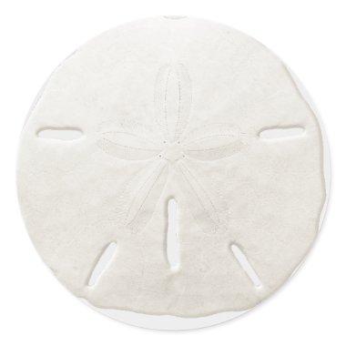 Simple White Sand Dollar Beach Wedding Favor Classic Round Sticker