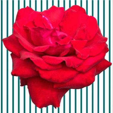 Single Red Rose Sculpture