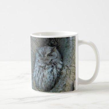 Sleepy Screech Owl Mug