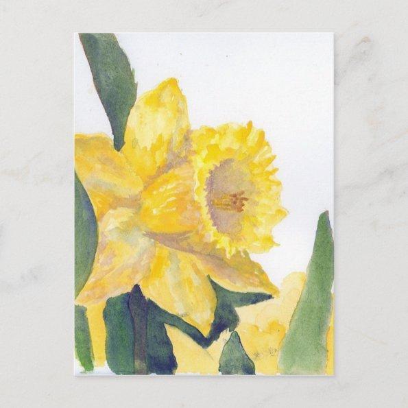 Spring Daffodils PostInvitations