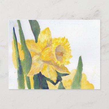 Spring Daffodils PostInvitations