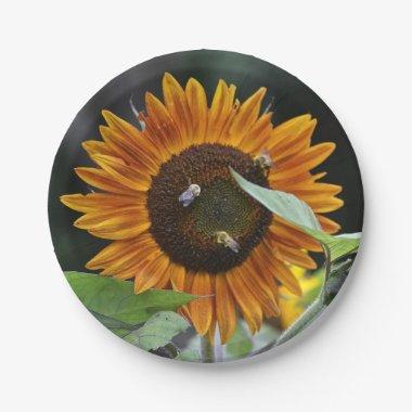 Stunning Sunflower Paper Plate