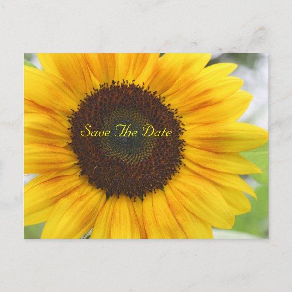 Sunflower Save The Date PostInvitations