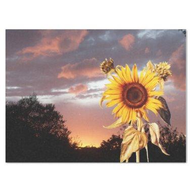 SUNFLOWERS AND SUMMER SUNSET TISSUE PAPER