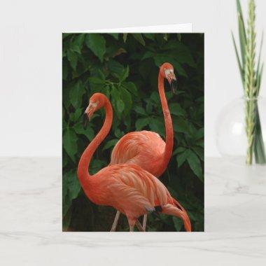 The Flamingo Couple Invitations
