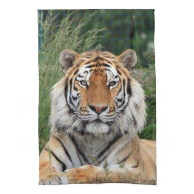 Tiger head male beautiful photo kitchen tea towel