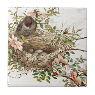 Vintage Bird in Nest Animal Print Ceramic Tile