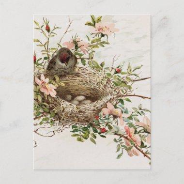 Vintage Bird in Nest Animal Print PostInvitations
