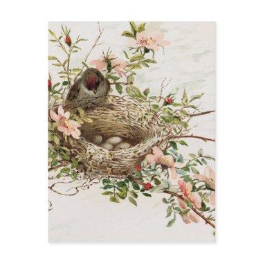 Vintage Bird in Nest Animal Print PostInvitations