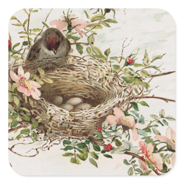 Vintage Bird in Nest Animal Print Square Sticker