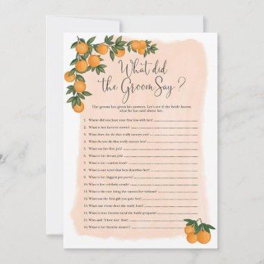 What did the Groom Say Bridal Shower Game Invitations