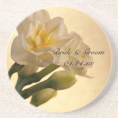 White Double Daffodils Spring Wedding Drink Coaster