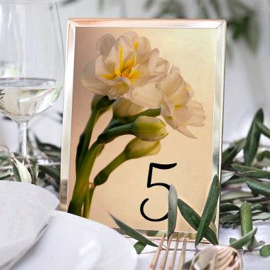 White Double Daffodils Table Numbers