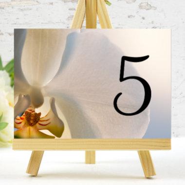 White Orchid Elegance Table Numbers