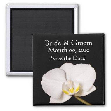 White Orchid on Black Magnet