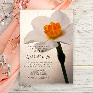 White Spring Daffodil Flower Bridal Shower Invitations
