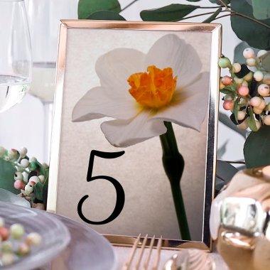 White Spring Daffodil Flower Table Numbers