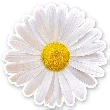 White Yellow Shasta Daisy Flower Kiss-Cut Sticker
