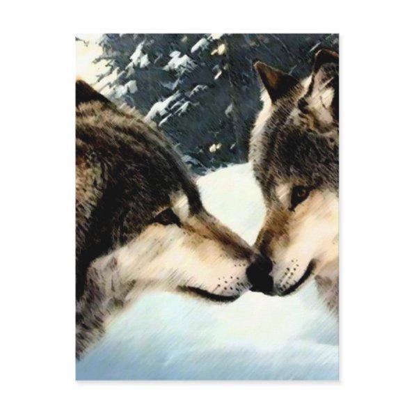 Wolves Wolf Snow Winter Snow Couple Love Post
