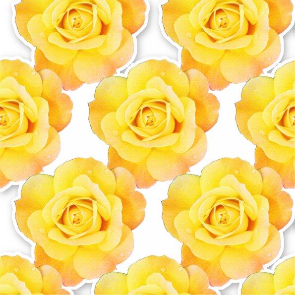 Yellow Orange Rose Patterns Floral Flowers Garden Sticker