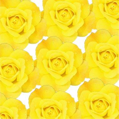 Yellow Rose Patterns Floral Flower Abstract Spring Sticker