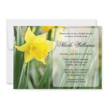 Yellow Spring Daffodil
