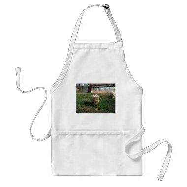 Young White Sheep on the Farm Adult Apron