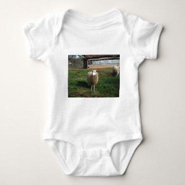 Young White Sheep on the Farm Baby Bodysuit