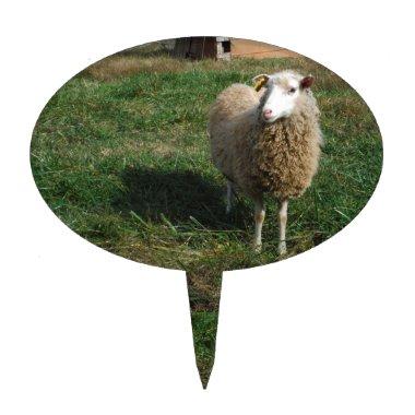 Young White Sheep on the Farm Cake Topper