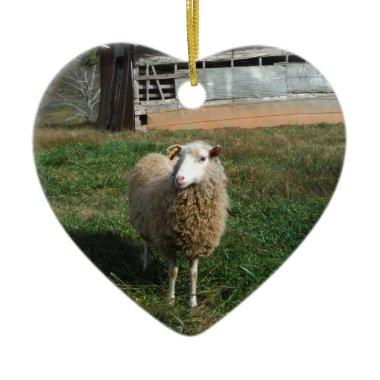Young White Sheep on the Farm Ceramic Ornament
