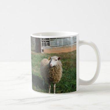 Young White Sheep on the Farm Coffee Mug