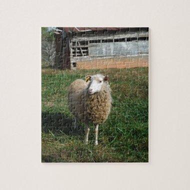 Young White Sheep on the Farm Jigsaw Puzzle