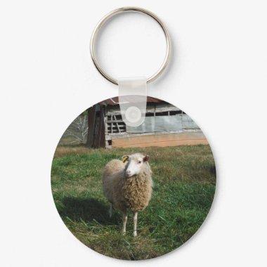 Young White Sheep on the Farm Keychain