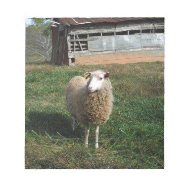 Young White Sheep on the Farm Notepad