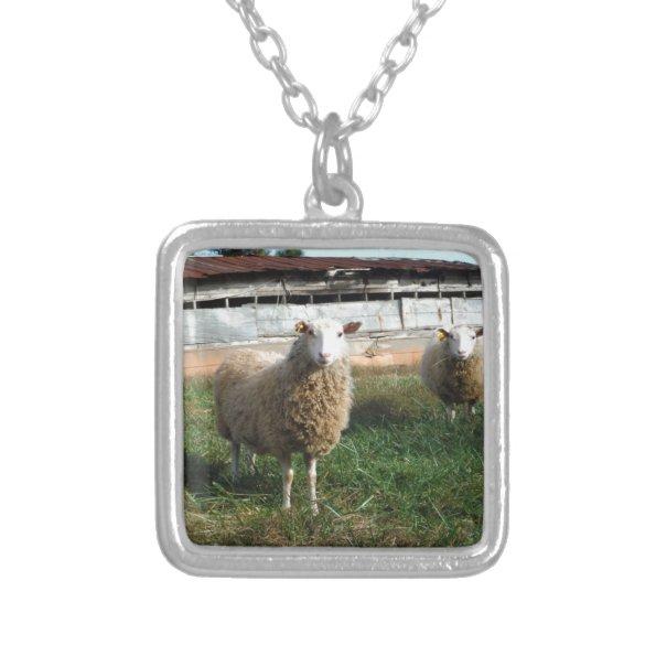 Young White Sheep on the Farm Silver Plated Necklace